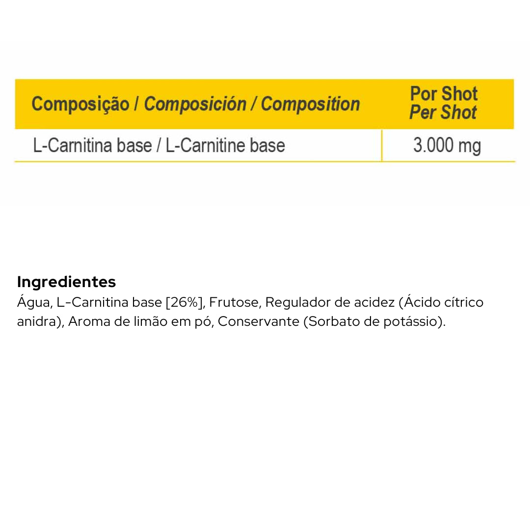 L-CARNITINE 3000