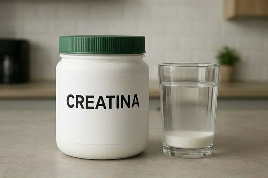 Creatina: Benefícios, Como Tomar e Diferenças entre Monohidratada, Micronizada e Creapure®