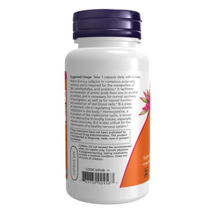 Vitamin B-6 100 mg - 100 Capsules